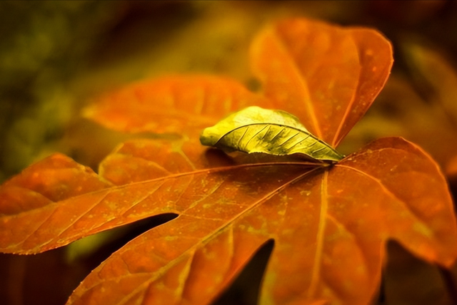 人一过60，永远不要在熟人面前，说以下几句话，谁说谁后悔，切记