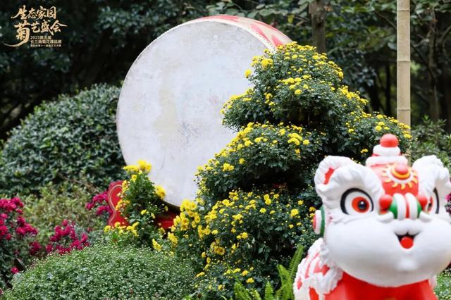 不愧是顶流！一大早就红了，人挤人持续好多天！萧山人家门口也有······