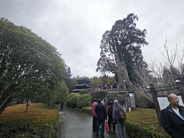 来大漈乡度过最热的时候