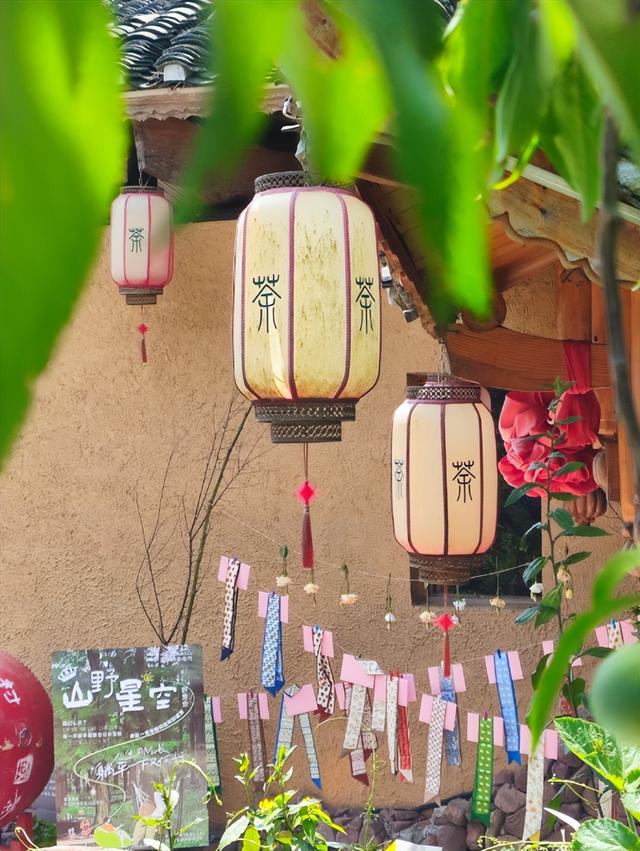 掩藏在湘西大山中的国际范茶园风物