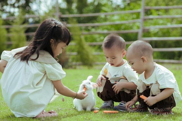 打脸了？2015年专家预测：一旦开放二胎，中国新生人口将会激增