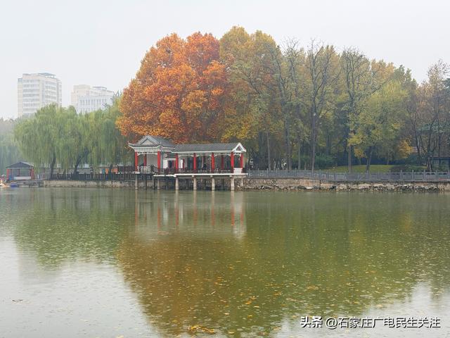 石家庄市裕西公园赏叶美景上线邀您打卡