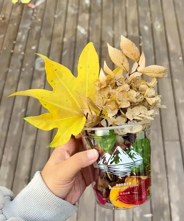 来淄博“捡秋”！海岱楼、周村大街…全被捡出来了→