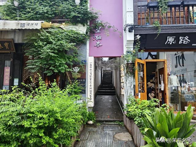 杭州旅游攻略看展逛博物馆老街菜市场换个城市走走停停文艺风