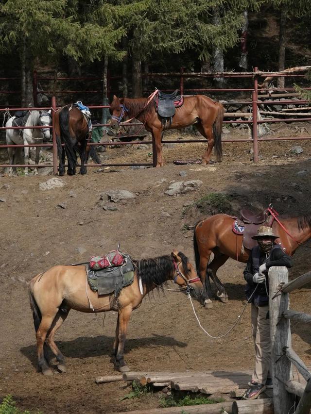 乌鲁木齐的关键词，少不了美食、艺术和山野