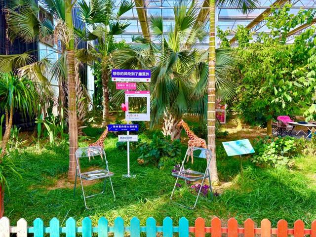 焕新！日照这里“升级”了！