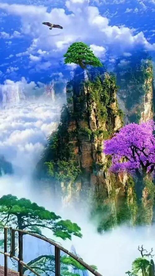 这才是真正的人间仙境，云雾缭绕，诗情画意的美！