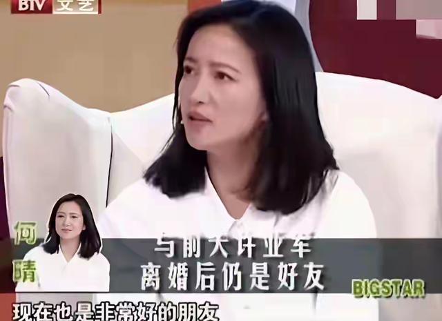 何晴一生爱过两个男人，刘威爆料何晴下套，许亚军放弃家庭娶她