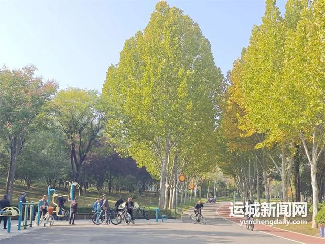 秋深景更美!运城最绚烂时刻到了!