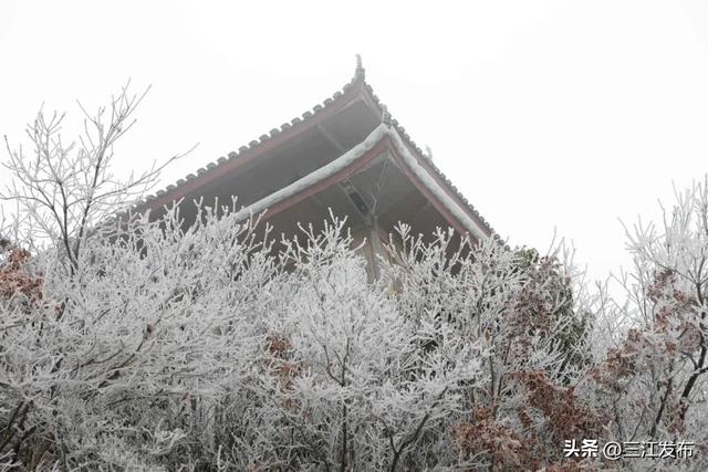 绝美!三江大塘坳惊现“琉璃仙境”!