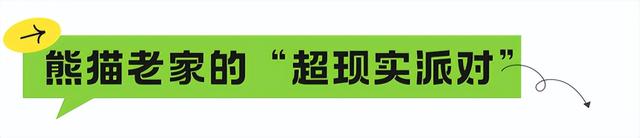 国庆必冲！高铁1h直达熊猫严选之城！震撼史诗剧拉爆视听，沉浸式互动实现熊猫自由！