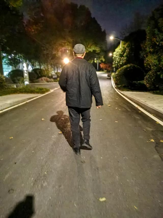 夜步嘉兴中央公园