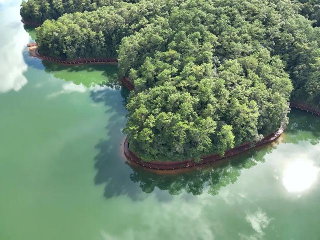 旅居思茅 | 秋日梅子湖 偷得浮生一日 邂逅比天空更透亮的诗境