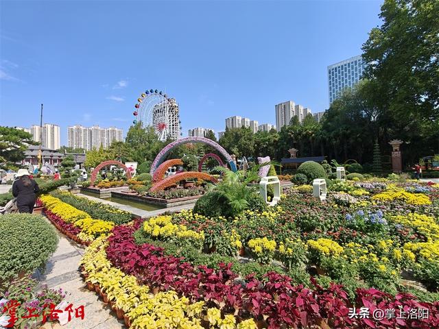 秋日限定，散步即达！洛阳各公园秋景观赏攻略请收好