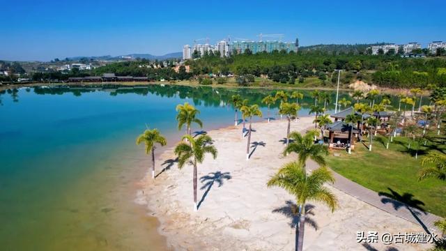 谁懂啊！建水五龙湖新来的黑天鹅，直接美成冬日童话