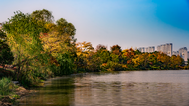 图说遂平：锦绣斑斓醉秋光