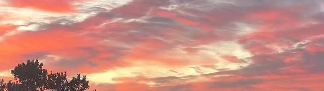 一人食 ‖ 我被Deepseek训了一顿