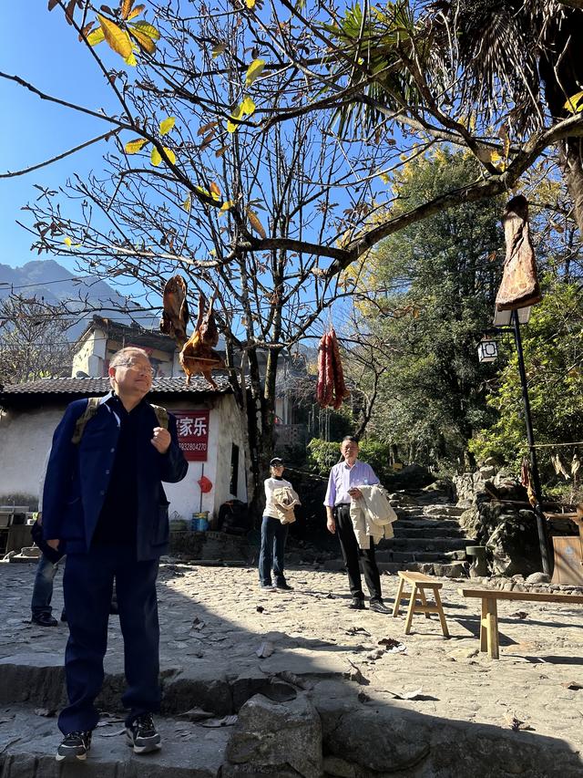 郁郁银杏无非般若，青青溪石尽是法身：宜春南惹古村印象（聂朋