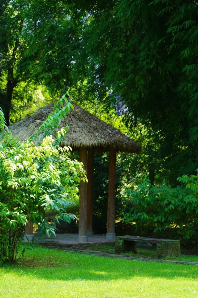 城市美学秘境｜邂逅邛窑国家考古遗址公园的初秋意韵