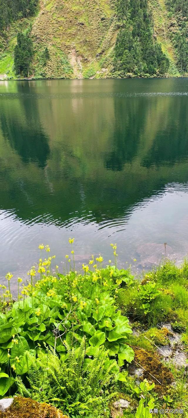 一路太多美景！离开浪浪山，去西藏这里开启一场山野漫游！