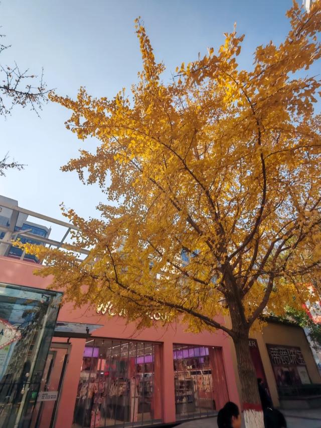 我是广州人，刚从兰州回来，实在忍不住想说：对兰州的 5 点印象