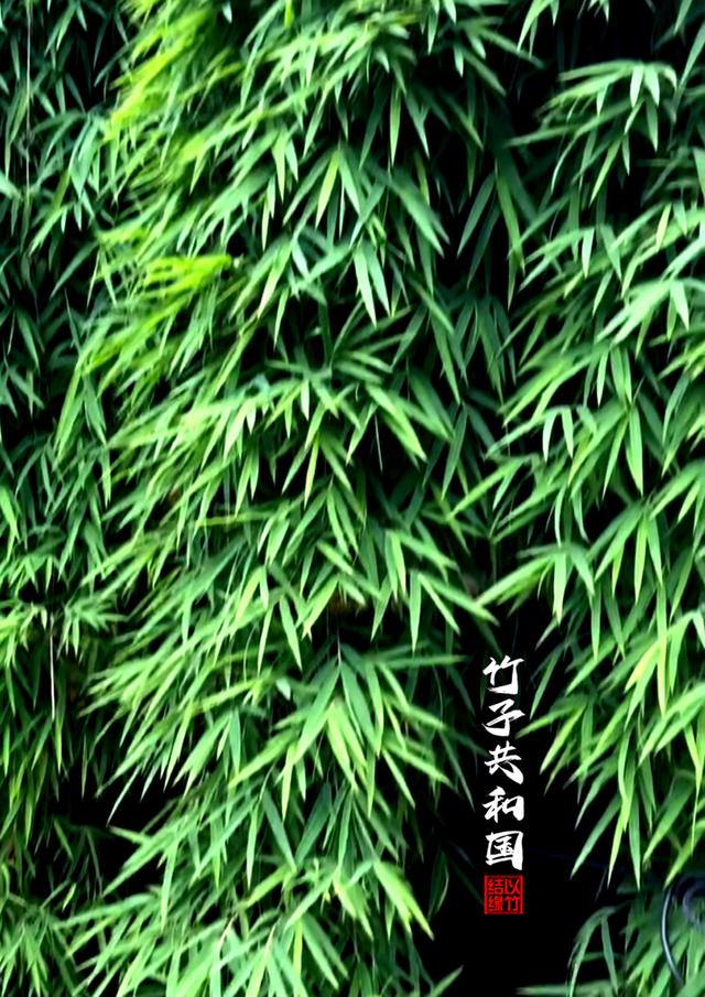 不要再去看黄果树瀑布了！