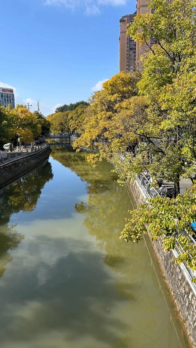 不止大坝！昆明观鸥最全热门+小众点位收录，附核心区交通指南