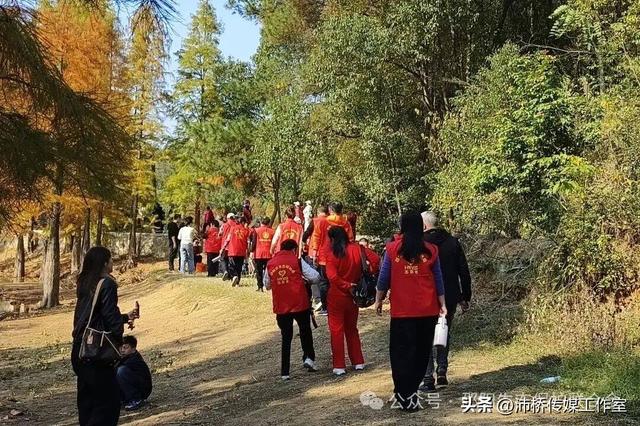 最美水杉林里志愿红