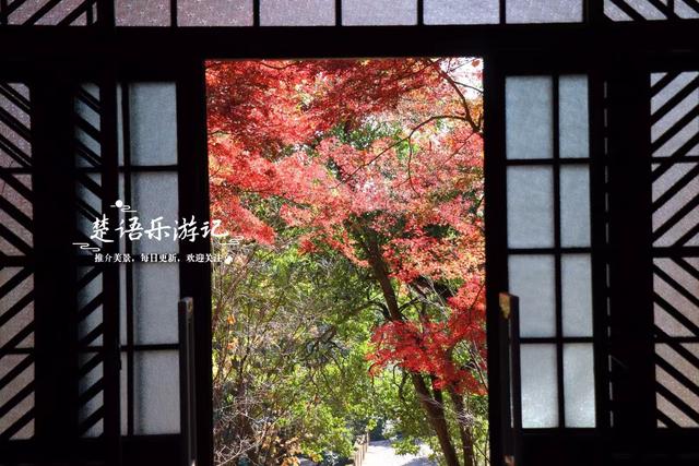 浙江宁波这处城中秘境被人忽略，但是秋色比油画还美，拍照特出片