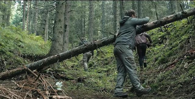 这片森林邪门得很！胆小慎入