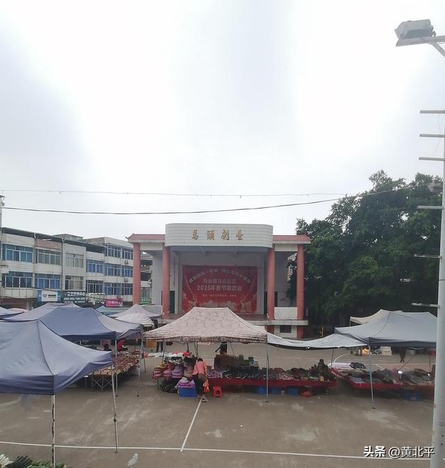 广西南宁市武鸣区没有养马却起名马头，与上林县也就是隔着大明山