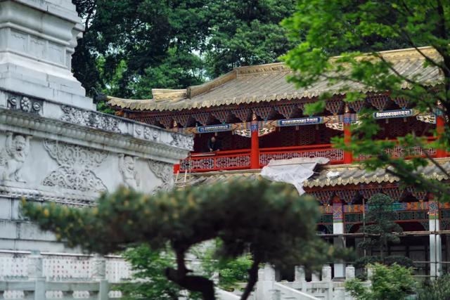 成都1h车程→千年古刹前踩水、捉螃蟹、喂梅花鹿，无门票！