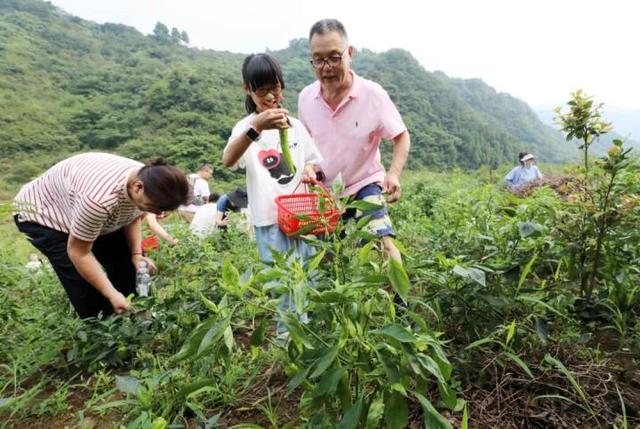 “山村收菜计划”再升级！杭城一批亲子家庭上周末驱车200公里赶到这个海拔600多米的小山村……