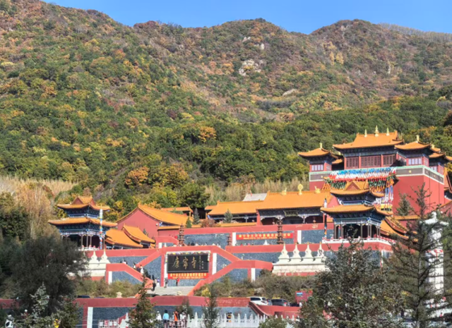 超治愈！赤峰居然集齐了这么多“秋色”