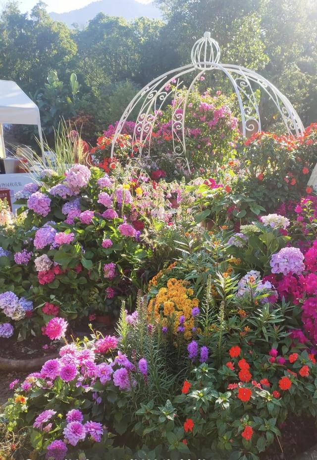 时光太瘦	，指缝太宽