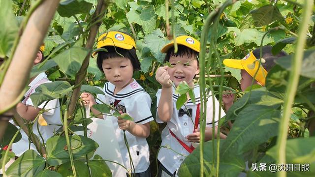 “藏”在小村庄里的三个文旅项目，一年吸引游客近20万人次～“1米视角”解锁儿童友好文旅新玩法