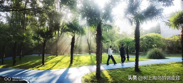 45 岁后家庭出游，星级酒店为何成首选？