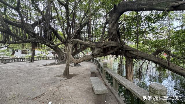 福州竟藏着这么一座宝藏古寺——西禅古寺！