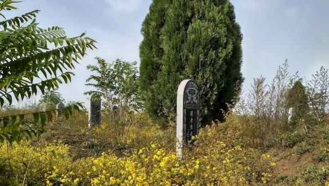 俗语“坟不栽三，宅不栽四”，分别指的是什么？有道理吗