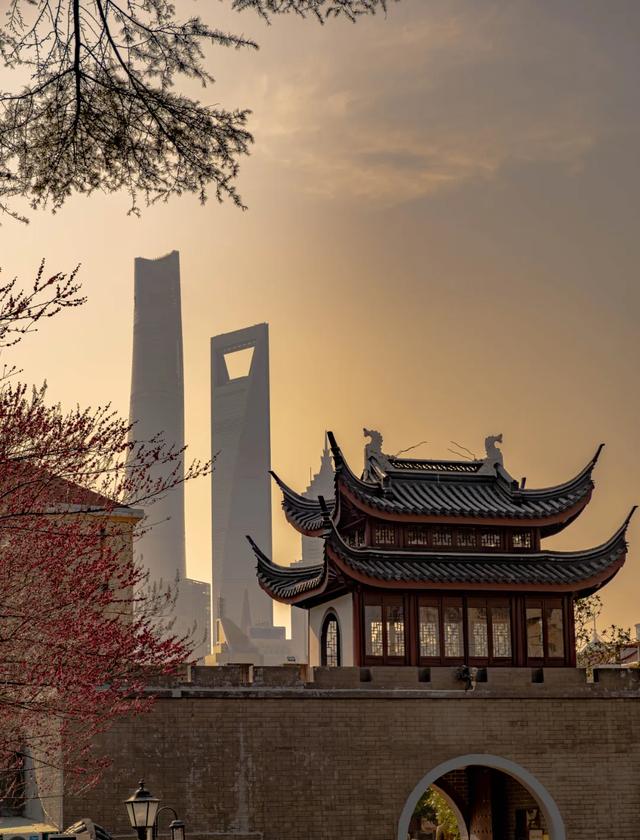 上海解锁“千园之城”,遛娃拍照吸氧圣地,哪个是你最爱?