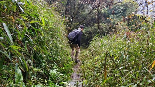 重庆南山被遗忘的千年古道，曾是重庆出川重要通道，如今成为秘境