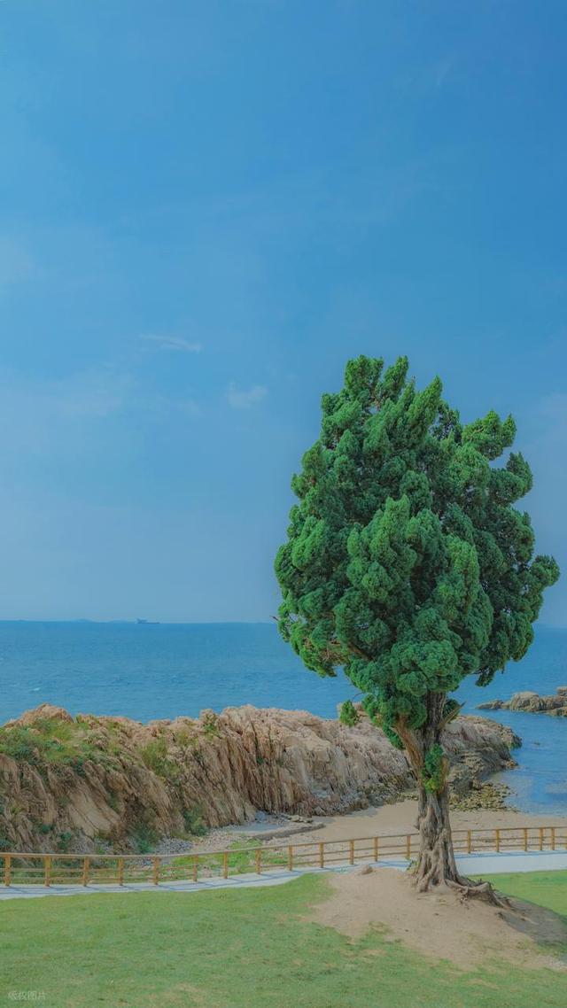 全部免费！青岛0元看海，赏无敌海景，青岛7处免费看海地不可错过