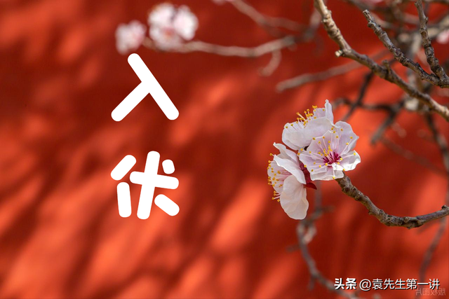 “入伏要躲伏，不能床上躺”，明日入伏，该如何“躲伏”？早了解