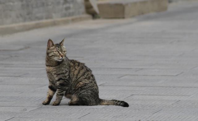 徜徉·太原古县城·太原