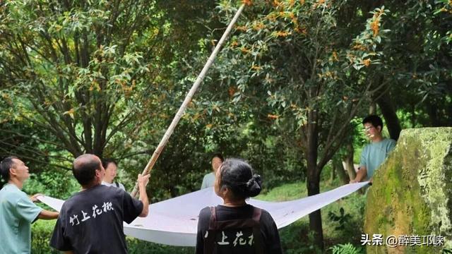 万千气象成都行 | 长达8天的假期，别去人挤人啦！来邛崃乡村松弛一下吧