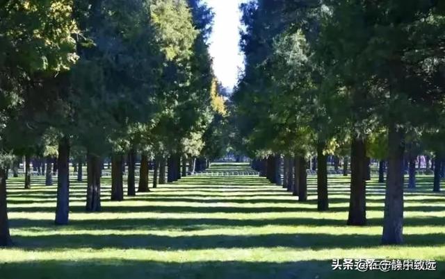 北京天坛公园游记