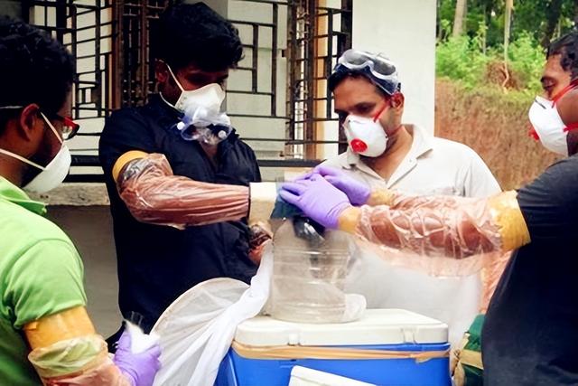 尼帕病毒确诊5例，近100人被隔离	，公众场合或坚持“4不碰	”原则