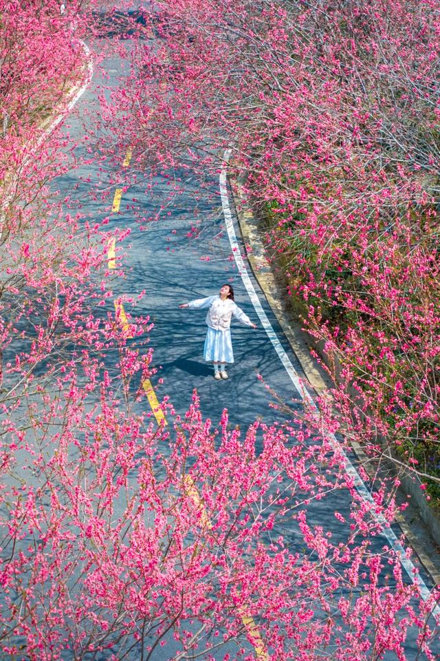 最长春节假期来黄陂!9天撒欢不重样