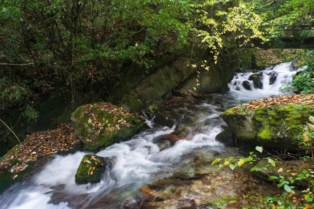 世界自然遗产、物种基因库、北纬31°绿色奇迹——神农架旅游攻略