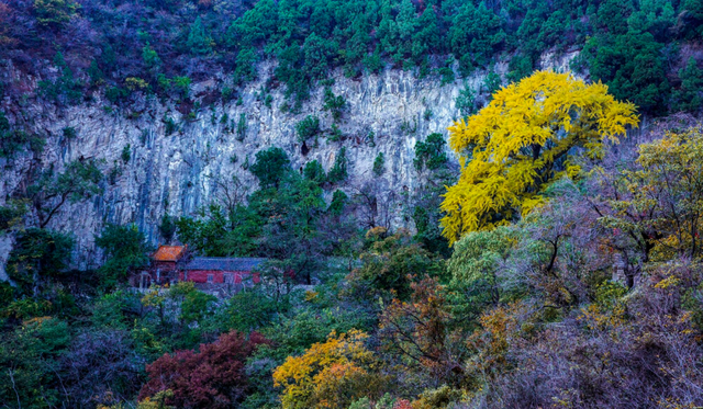 即刻出发，解锁淄博「秋日限定」模式，错过等明年！